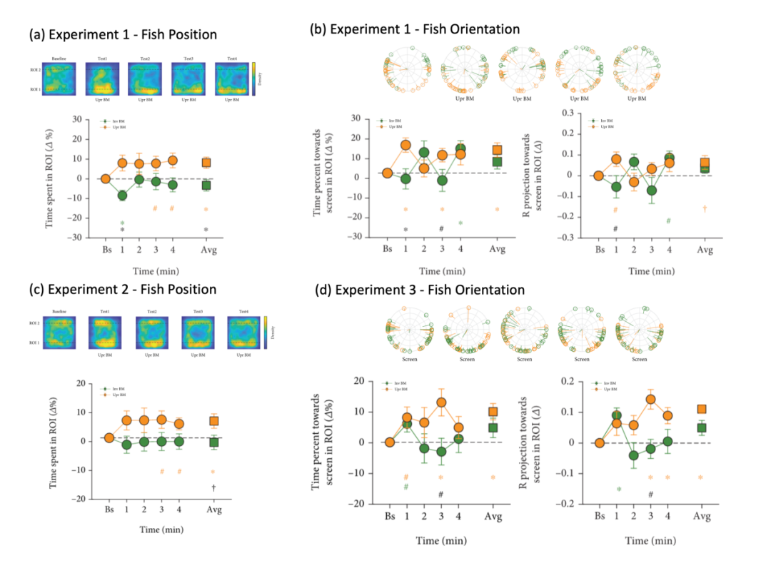 听觉经济爆发：AI+场景重构千亿声音蓝海