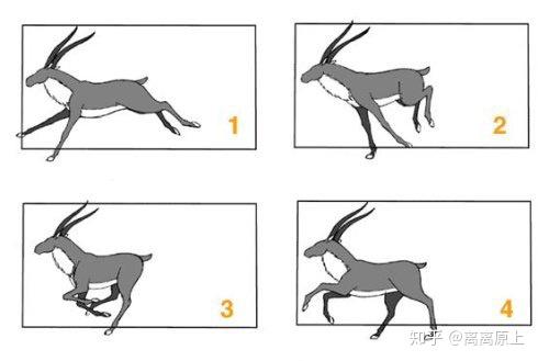 2026预制药膳行业发展市场规模与趋势分析(图1)