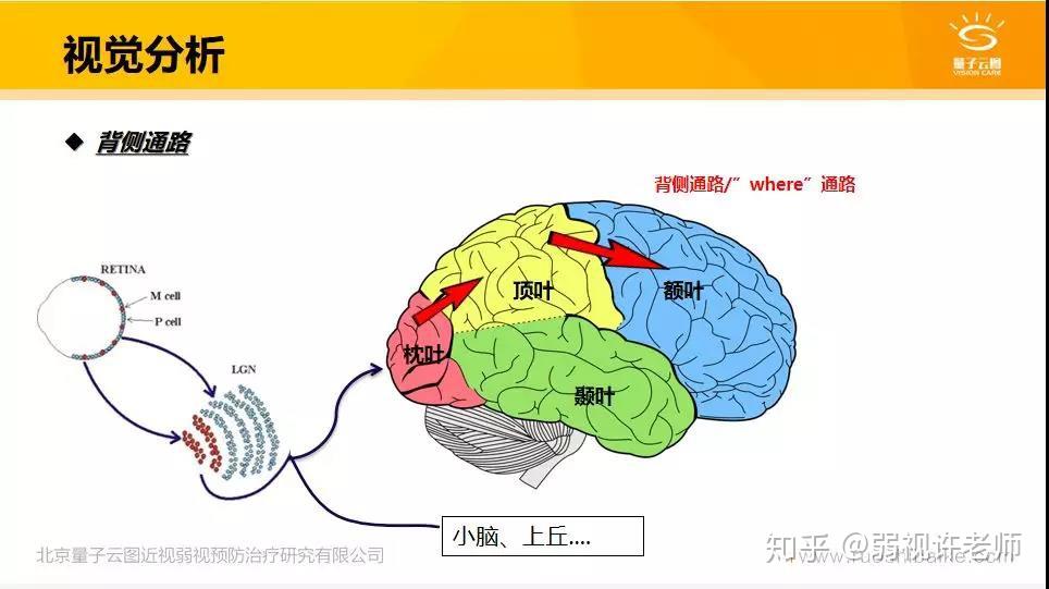 人形机器人“管家”逼近“万元时代”！下单前你得想清楚3个问题(图1)
