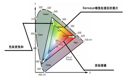 对标2026新课标头部AI智慧体育厂商实力横向测评(图1)